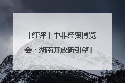 红评丨中非经贸博览会：湖南开放新引擎